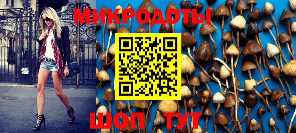 Галлюциногенные грибы MAGIC MUSHROOMS Зеленогорск