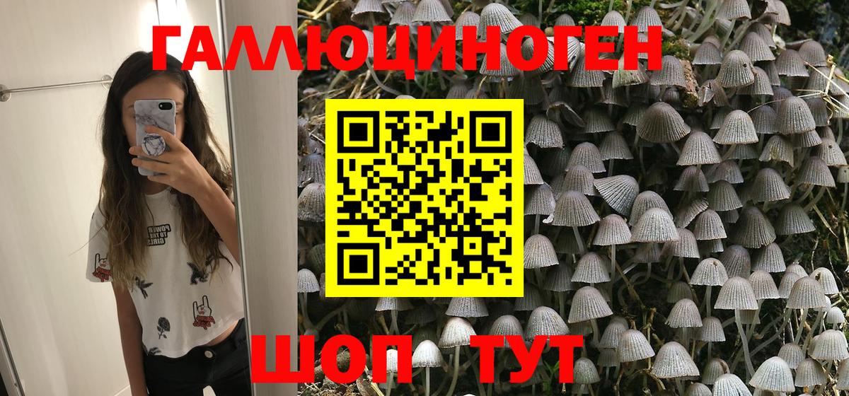 Псилоцибиновые грибы Psilocybine cubensis  Вход с VPN  Псилоцибиновые грибы MAGIC MUSHROOMS  Зеленогорск 